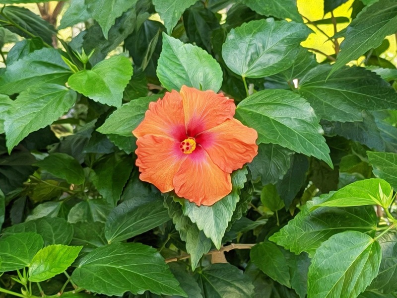 Red & Orange Hibiscus 500-Piece Wooden Jigsaw Puzzle - 20.5" X 15" Wall Art, Fun Family Game & Gift