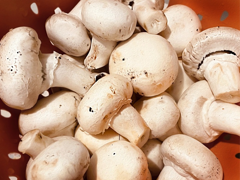 White Mushrooms Jigsaw Puzzle